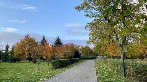 Синоптики прогнозують хмарні та дощові вихідні на Закарпатті