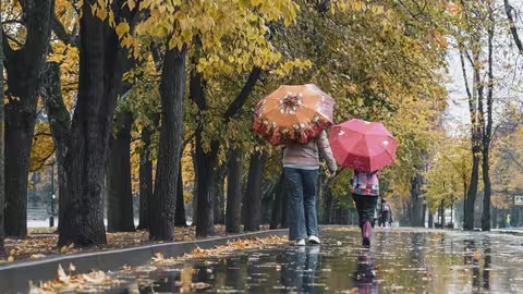 У Мукачеві створять тактильні 3D-моделі відомих памʼяток архітектури та скульптури