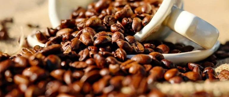 Кава подовжує життя: скільки чашок на день можуть уповільнити старіння