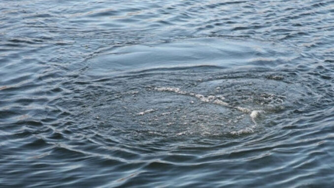 На Мукачівщині у річці Латориця виявили тіло невідомого чоловіка