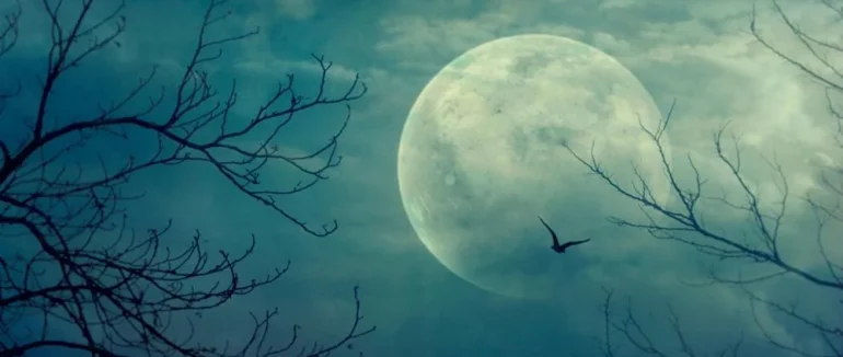 Місячний гороскоп: що можна і чого не можна робити 20 грудня