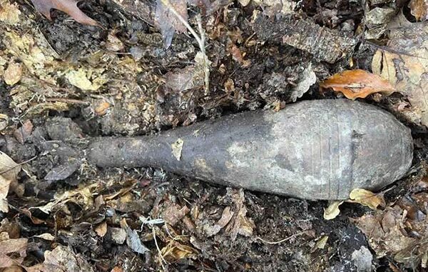 На Ужгородщині підлітки у лісі натрапили на міну часів Другої світової війни