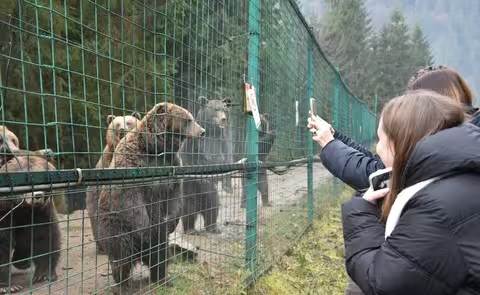 Психологічна підтримка й екскурсія: 39 родин загиблих та зниклих військових відвідали НПП «Синевир»
