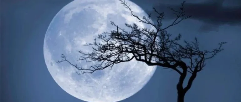 Холодний Місяць 5 грудня: чому така назва і чим особлива остання Суперповня у році