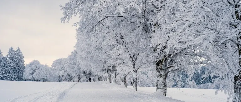 З морозом та снігом: якою буде погода на Закарпатті ввечері 31 грудня