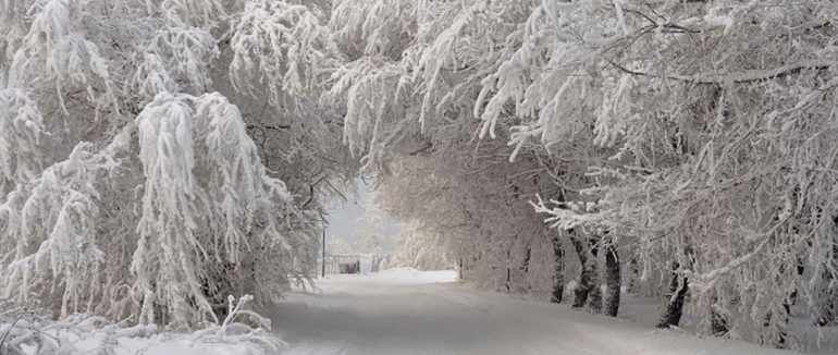 На Закарпаття суне похолодання: синоптики прогнозують до -16°C