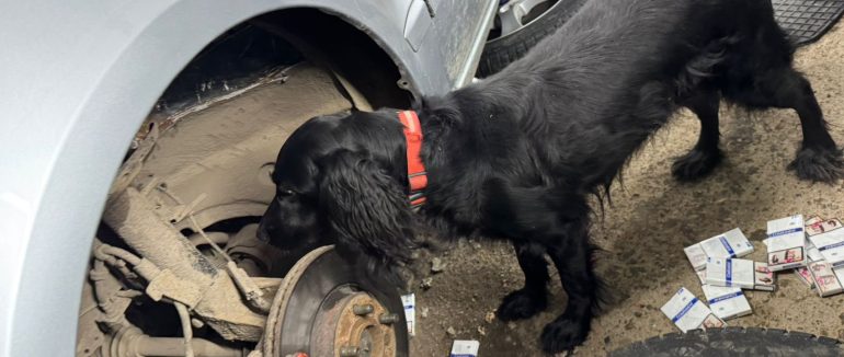 На кордоні з Угорщиною собака знайшов у днищі автівки закарпатця тайники з сигаретами