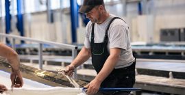 У 2025 році на Закарпатті налагодили перше в Україні серійне виробництво лопатей для вітроелектростанцій