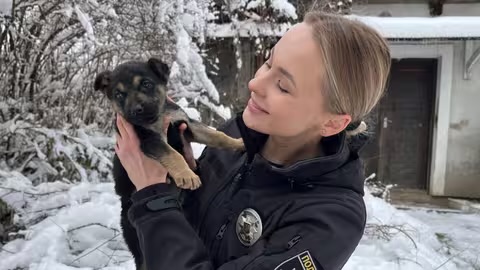 Поліцейська, яка рятує серцем: у Мукачеві ще троє цуценят отримали шанс на життя