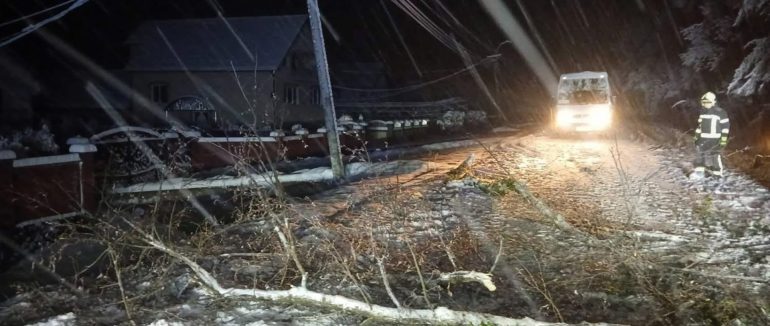 Негода повалила 7 дерев на Закарпатті: пошкоджено три автомобілі