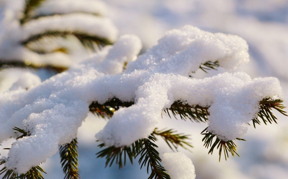 «Потепління» та сніг: синоптики розповіли якою буде погода цього тижня на Закарпатті