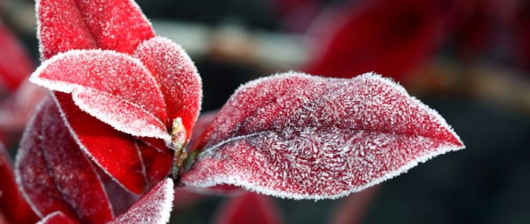 Гороскоп на 21 лютого для всіх знаків зодіаку: день, коли будь-яке завдання виявиться до снаги