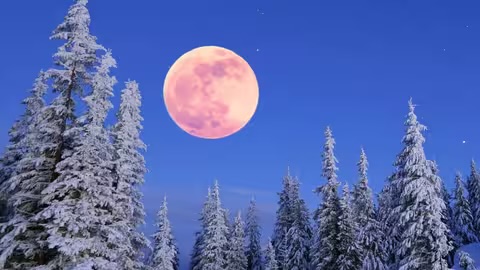 Цієї ночі закарпатці зможуть побачити останню повню зими