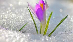 Синоптики на Закарпатті прогнозують весняну погоду у перші вихідні лютого