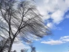 На Закарпатті прогнозують погіршення погодних умов