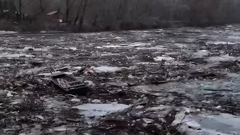 Тиса несе тонни сміття із Закарпаття в Угорщину