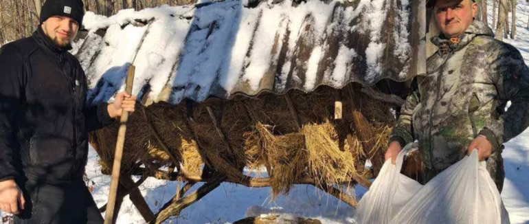 У мисливських угіддях Закарпаття підрахували чисельність дикого звіра