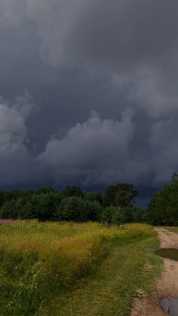 На Закарпатті прогнозують незначні опади та заморозки в горах: якою буде погода 24–29 березня