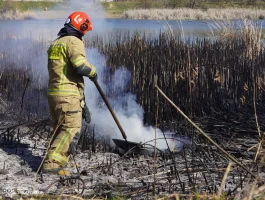 На Закарпатті зростає кількість пожеж сухої рослинності в природних екосистемах