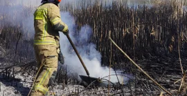 На Закарпатті зростає кількість пожеж сухої рослинності в природних екосистемах