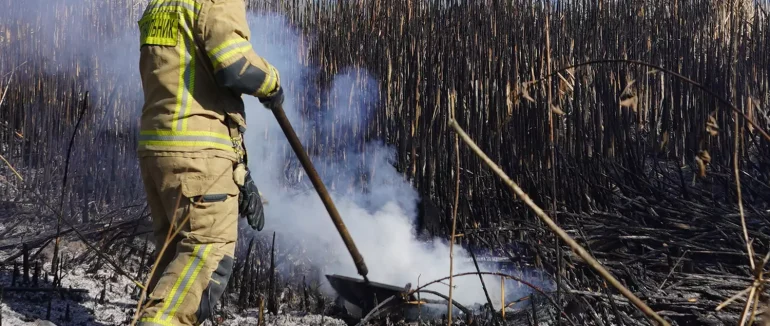 На Закарпатті зростає кількість пожеж сухої рослинності в природних екосистемах