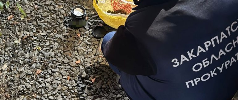 На Закарпатті судитимуть учасників масштабної злочинної групи, що займалася наркотиками та переправленням військовозобов’язаних