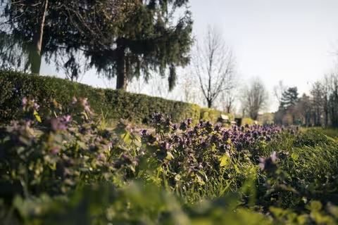 Сонячно та тепло: синоптики прогнозують ясну погоду на вихідних на Закарпатті