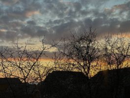 Очевидці зафільмували атмосферний захід сонця в Ужгороді