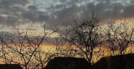 Очевидці зафільмували атмосферний захід сонця в Ужгороді