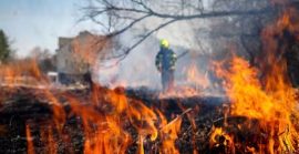 На Закарпатті з початку 2026 року зафіксували майже 200 пожеж сухостою