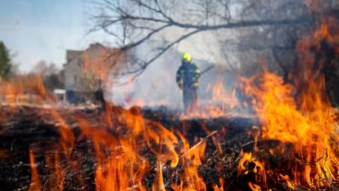 На Закарпатті з початку 2026 року зафіксували майже 200 пожеж сухостою