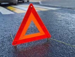 На Закарпатті за тиждень розшукали 10 водіїв, які втекли з місця ДТП