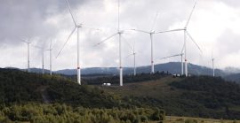 Вітроенергетика Закарпаття отримала визнання на національному рівні