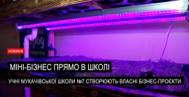 Шкільний бізнес Мукачева: як учні вирощують мікрозелень та створюють власні проєкти (ВІДЕО)