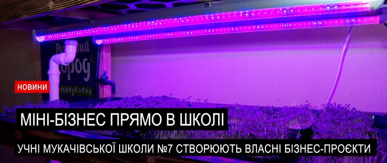 Шкільний бізнес Мукачева: як учні вирощують мікрозелень та створюють власні проєкти (ВІДЕО)
