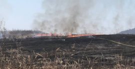 На Ужгородщині горить суха трава: площа пожежі сягнула близько 20 гектарів