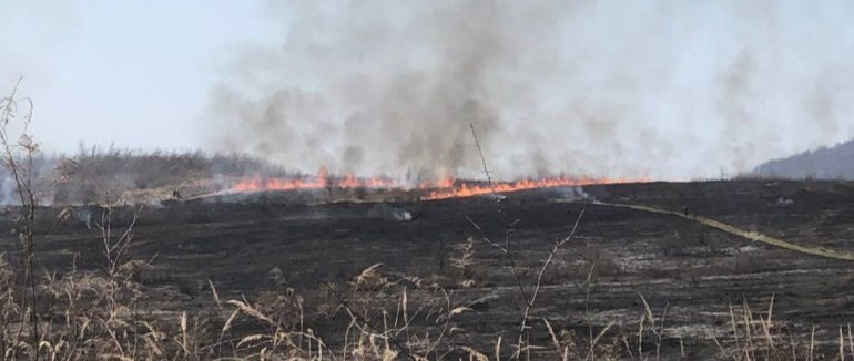 На Ужгородщині горить суха трава: площа пожежі сягнула близько 20 гектарів