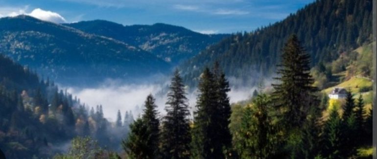 Громадські організації Закарпаття можуть отримати до 400 тис. грн на проєкти: стартував прийом заявок