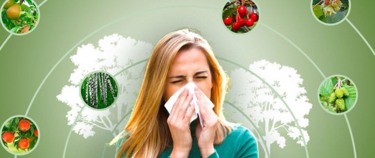 Календар цвітіння алергенних рослин в Україні: коли чекати на загострення