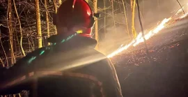 На Хустщині вогнеборці спільно з лісівниками ліквідували загорання лісової підстилки