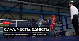 Молодь і ринг: як в Ужгороді вшановували Національну гвардію (ВІДЕО)