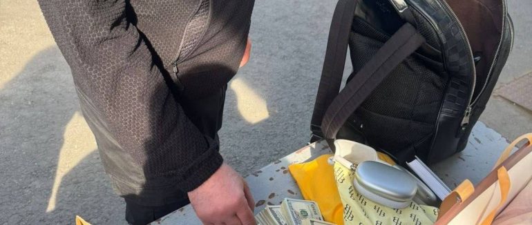 На кордоні зі Словаччиною службовий пес винюхав у речах закарпатки валюту на майже 4 млн грн