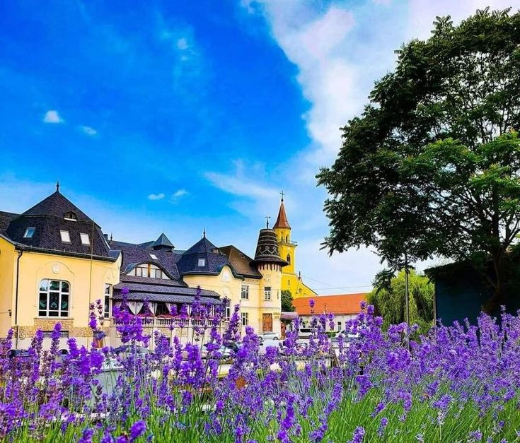 У Берегові затримали голову ВЛК на хабарі: у справі фігурує майже 500 тисяч доларів