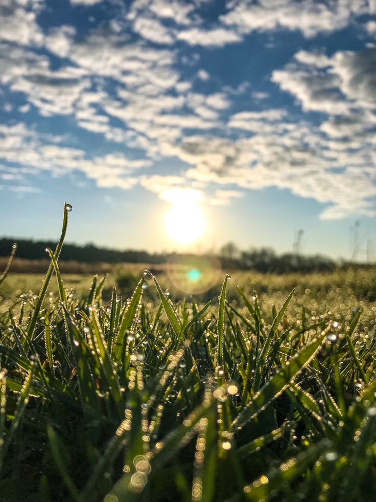 Ранок, який варто прожити