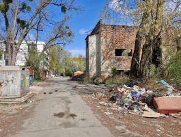 Антисанітарія біля дитсадка: ужгородці скаржаться на критичну ситуацію з вивозом сміття