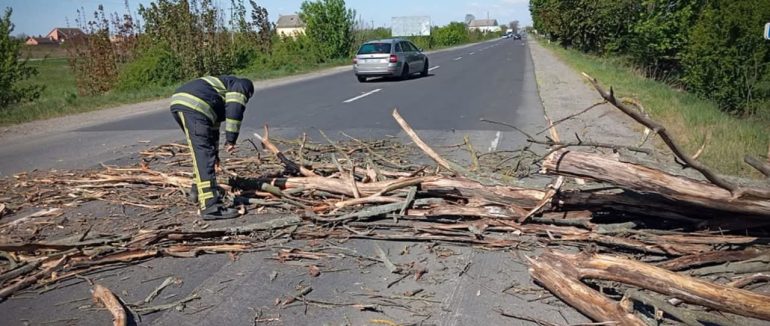 Загиблий, пошкоджені авто і блекаути: наслідки шторму на Закарпатті