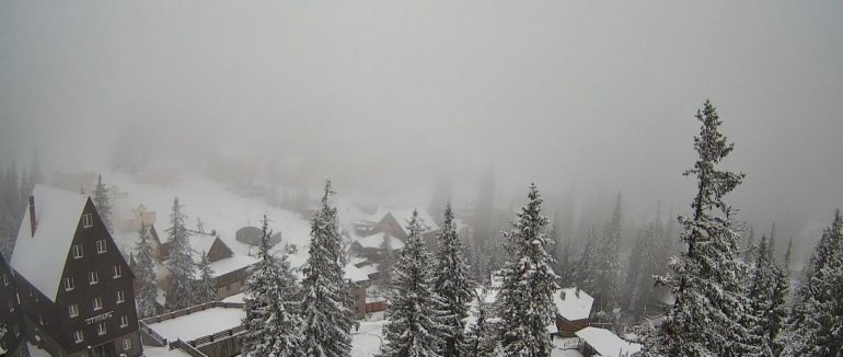 Карпати засипало снігом: у Ворохті та на Драгобраті – зимова погода посеред весни