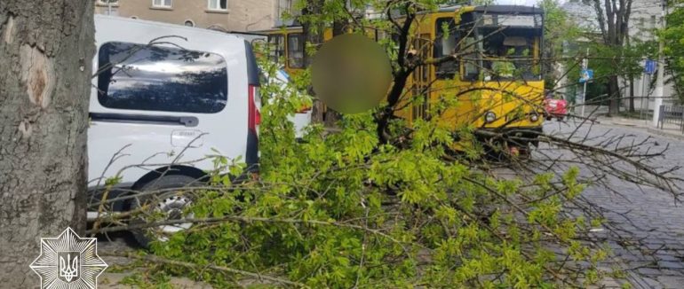 Потужний шторм накрив Україну: у кількох містах валить дерева та зриває дахи