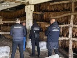 В Ужгороді проводять обшуки в мережі магазинів U420