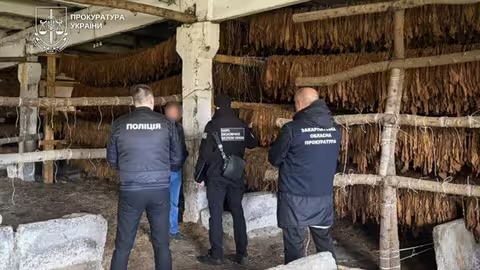 В Ужгороді проводять обшуки в мережі магазинів U420